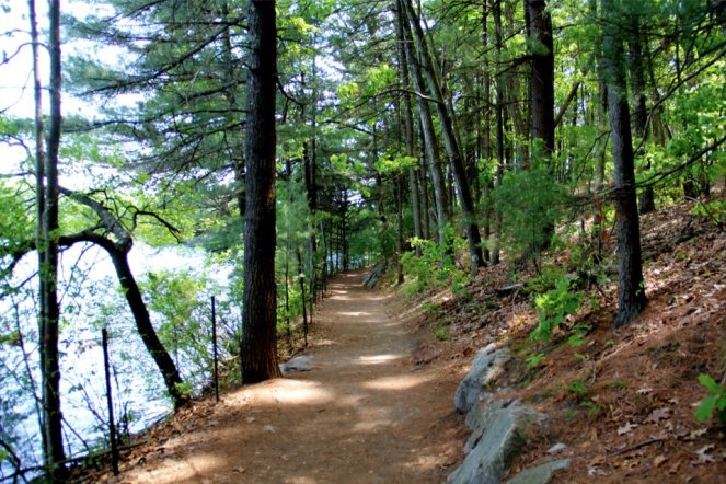 Walden Pond